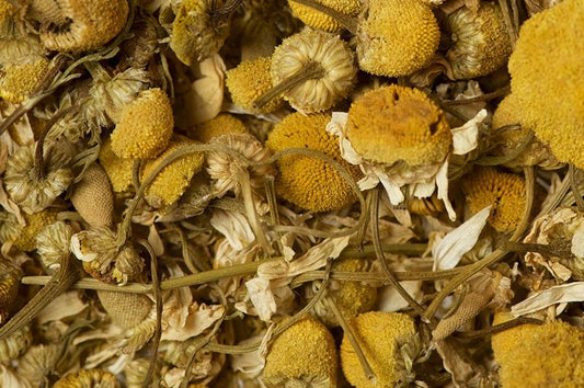 Chamomile