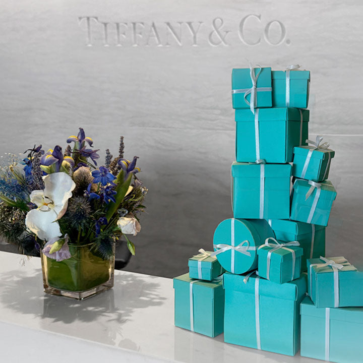 PLAIN-T & Tiffany