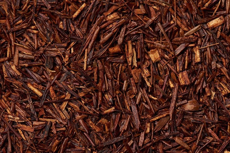 Rooibos Vanilla